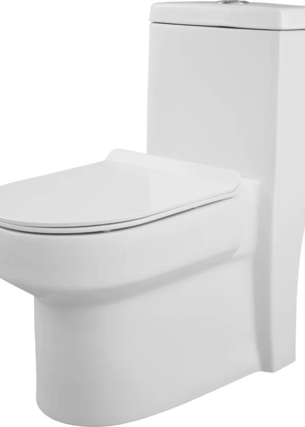 Diamante Intellisense One Piece Closet 4D