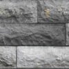 ever1a Everest Gris