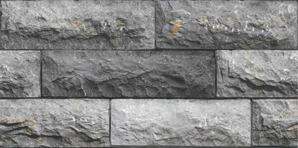 ever1a Everest Gris