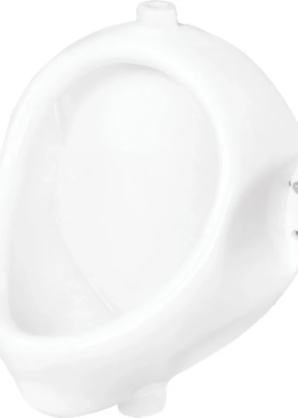 Flat Back Urinal
